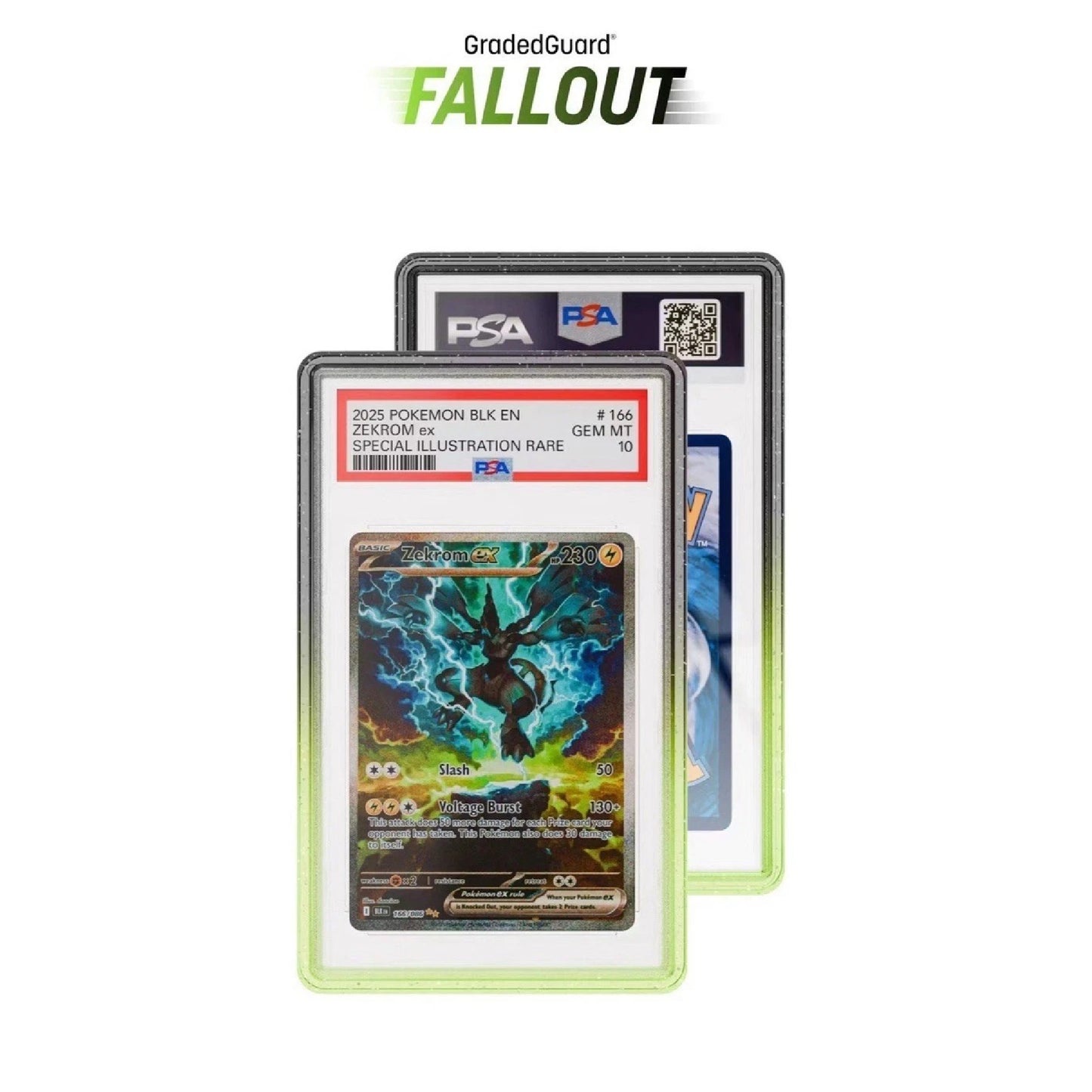 Graded Guard (CHOOSE YOUR GUARD)