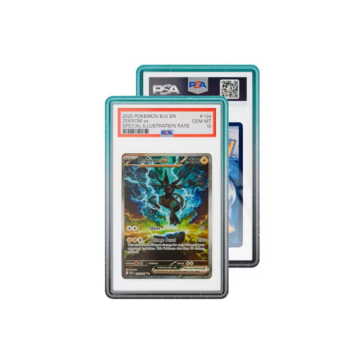 Graded Guard (CHOOSE YOUR GUARD)